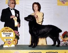 486.jpg