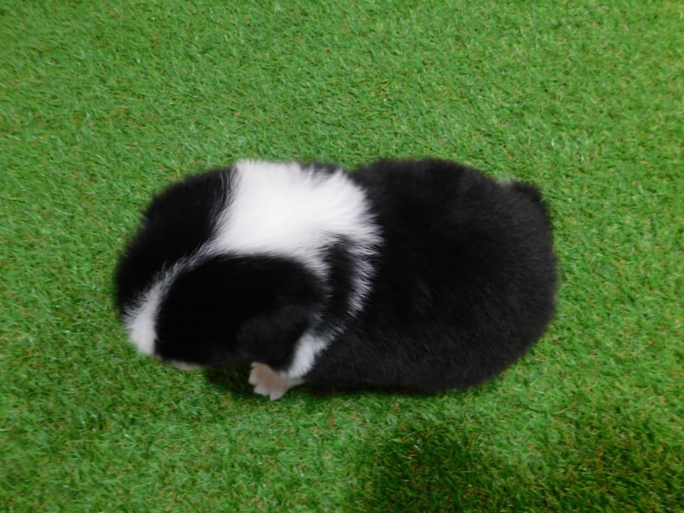 dscn5175.jpg