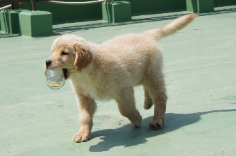 DSC00675.JPG