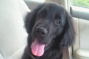 201107051056000.jpg
