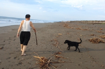 2011081606550000.jpg