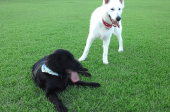 2011082218090000.jpg