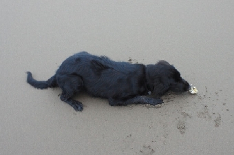 2011082507100002.jpg