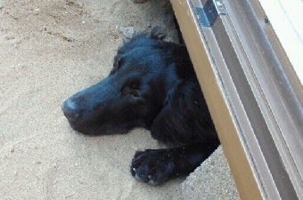 2011091309550000.jpg