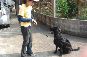 2011101214460000.jpg
