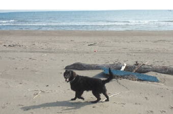 2011112610190000.jpg