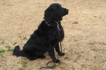 2012020714590000.jpg