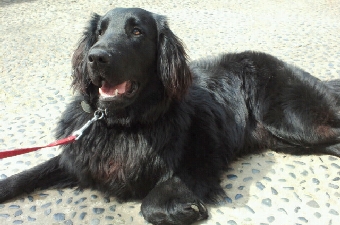 2012040214110000.jpg