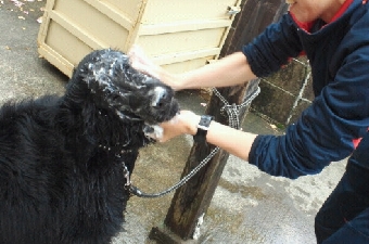 2012050113550000.jpg