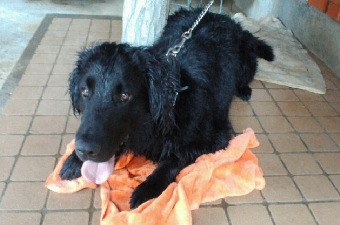 2012051509470001.jpg