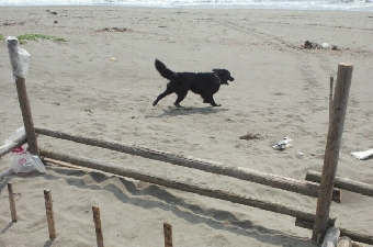 2012061009400002.jpg