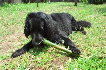 2012061012320002.jpg