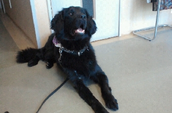 2012070612220001.jpg