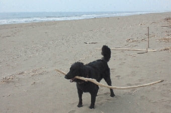 2012071408510000.jpg