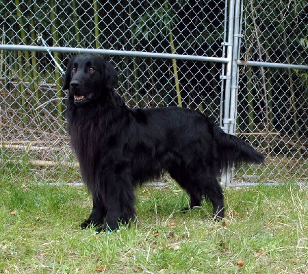 021.JPG