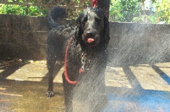 2012073110490001.jpg