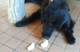 2012081013370002.jpg