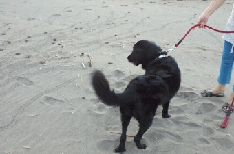 2012081406110000.jpg