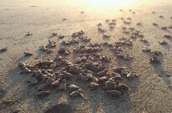 2012090906190001.jpg