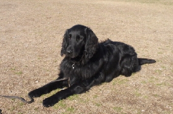 2013022015190000.jpg