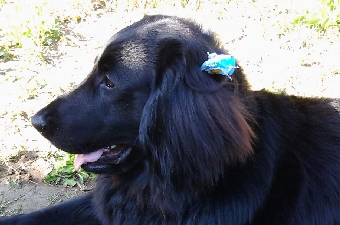 20130407_154528.jpg