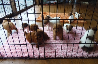 011.JPG