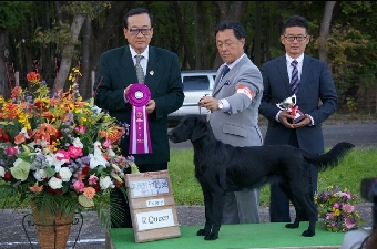 ___2.jpg