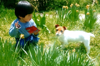 img001.jpg